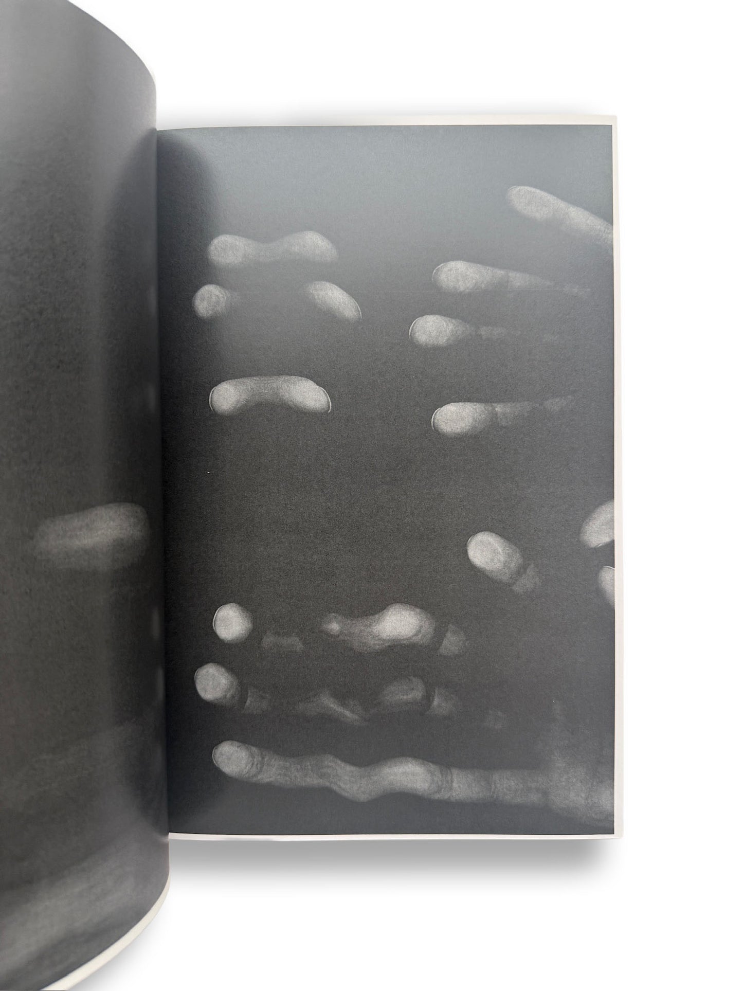 Koudai Takano/COPY BOOK 鷹野隆大【SIGNED】