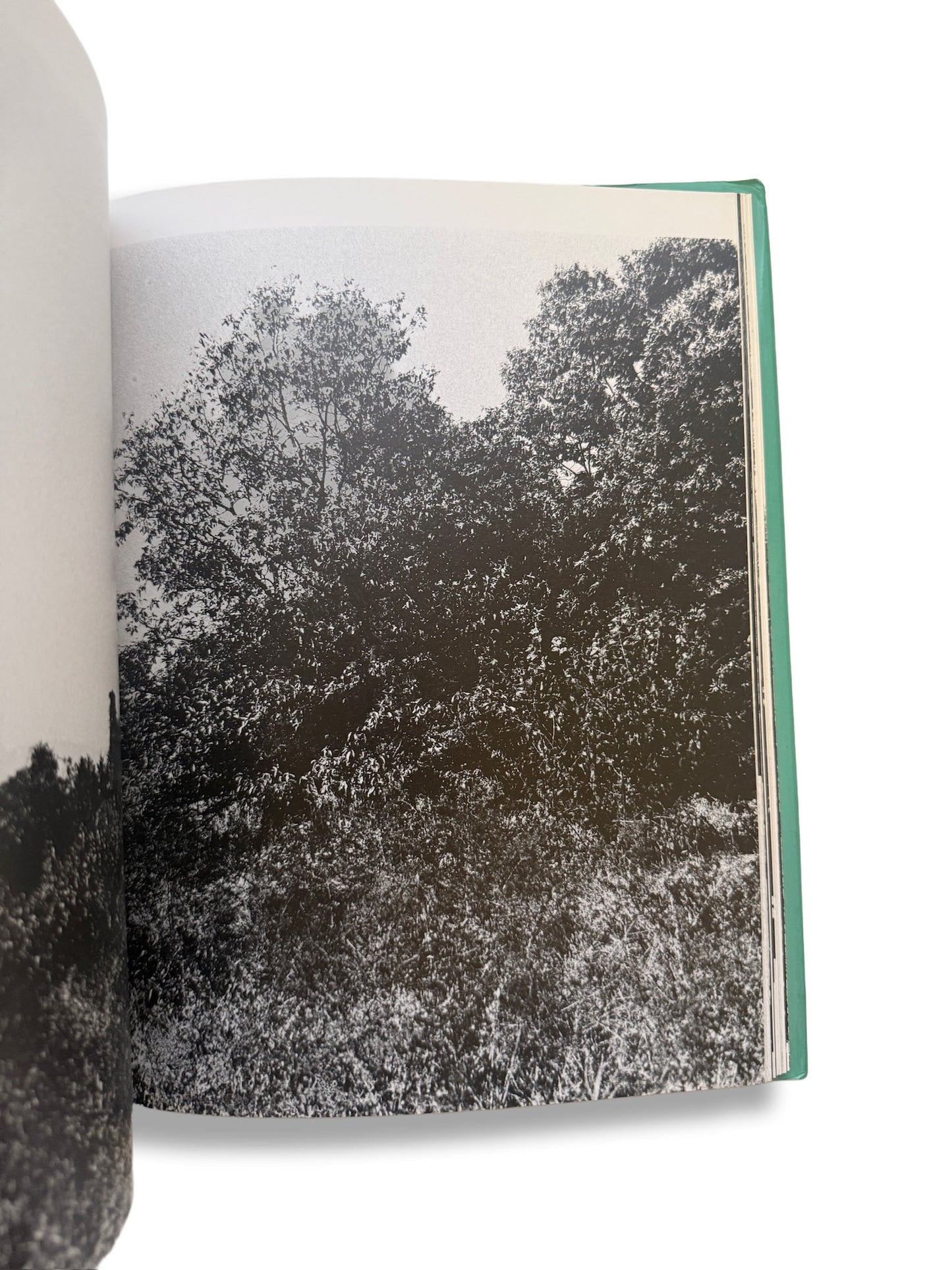 Daido Moriyama/サン・ルゥへの手紙