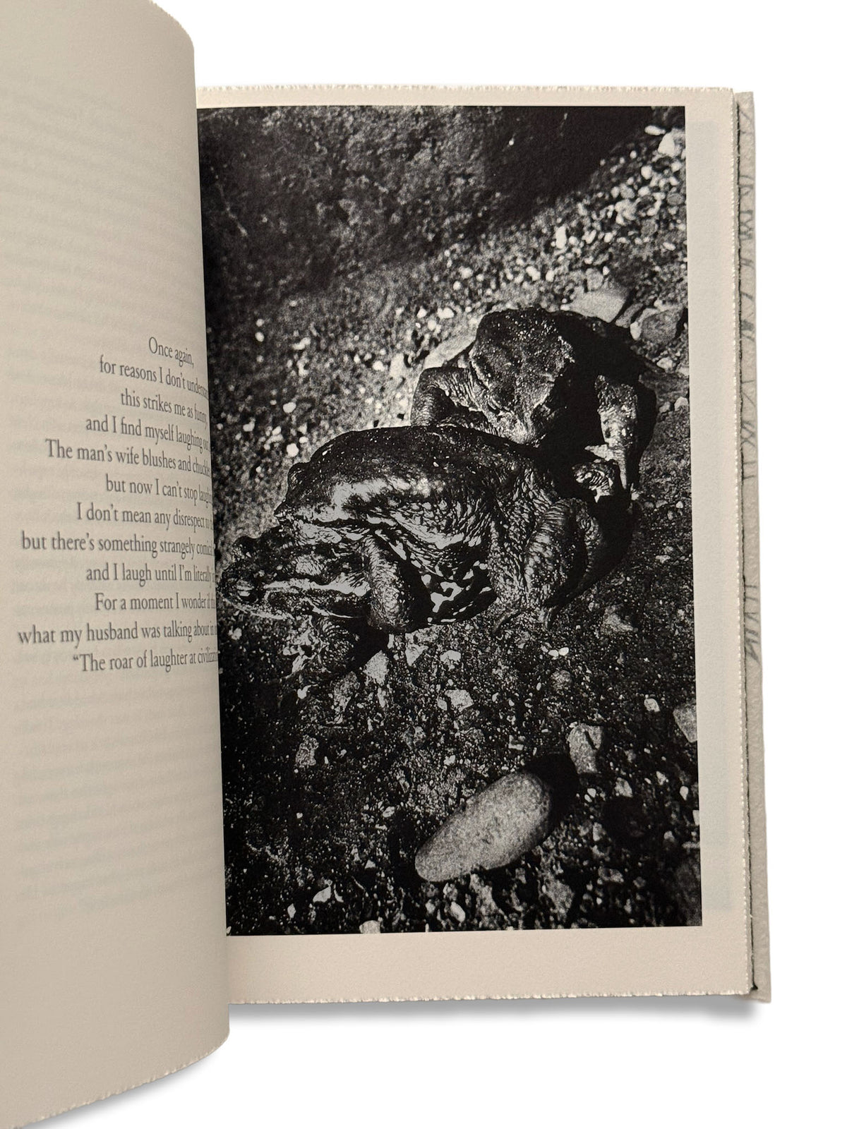 Daido Moriyama/Dazai