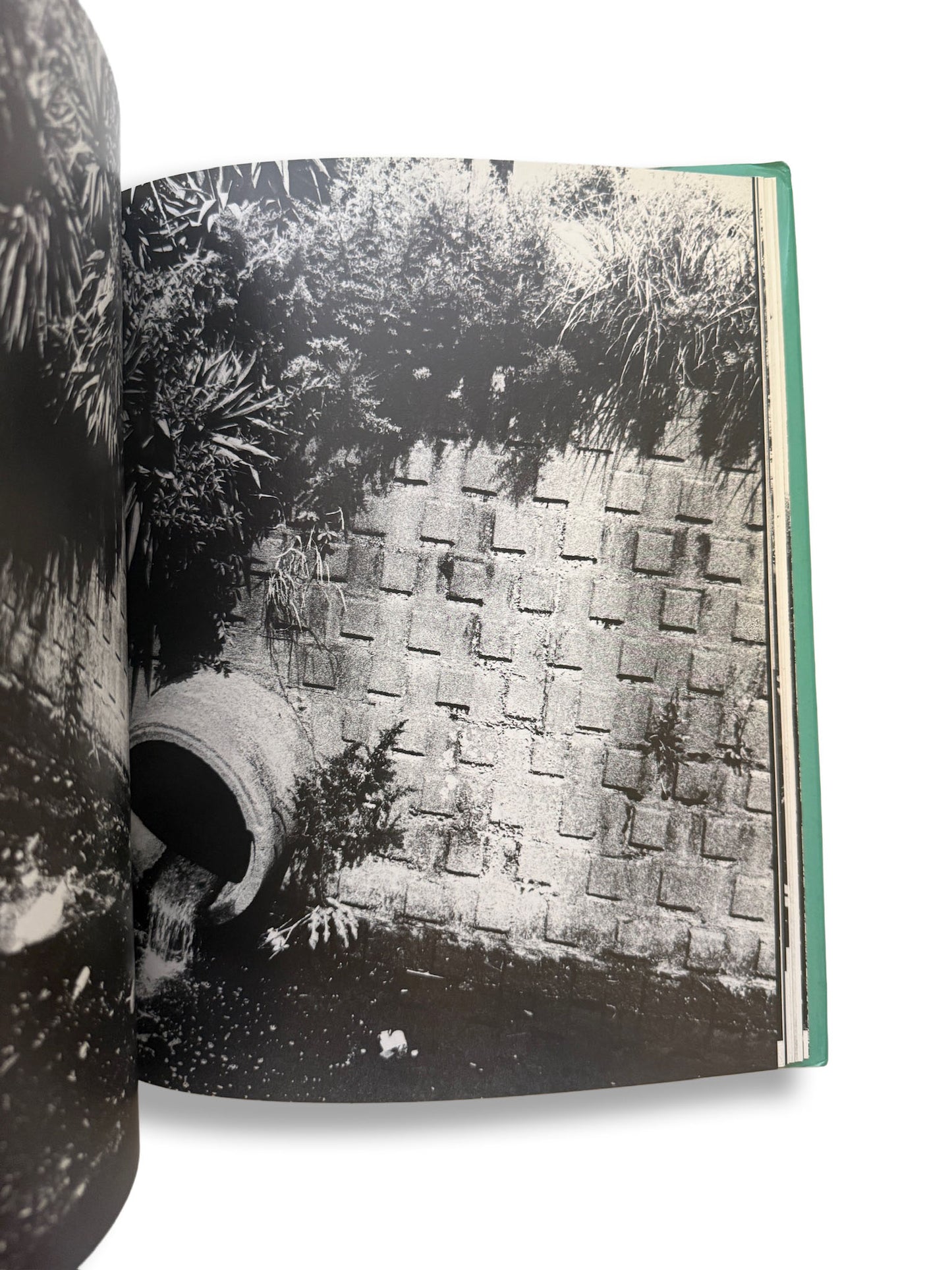 Daido Moriyama/サン・ルゥへの手紙