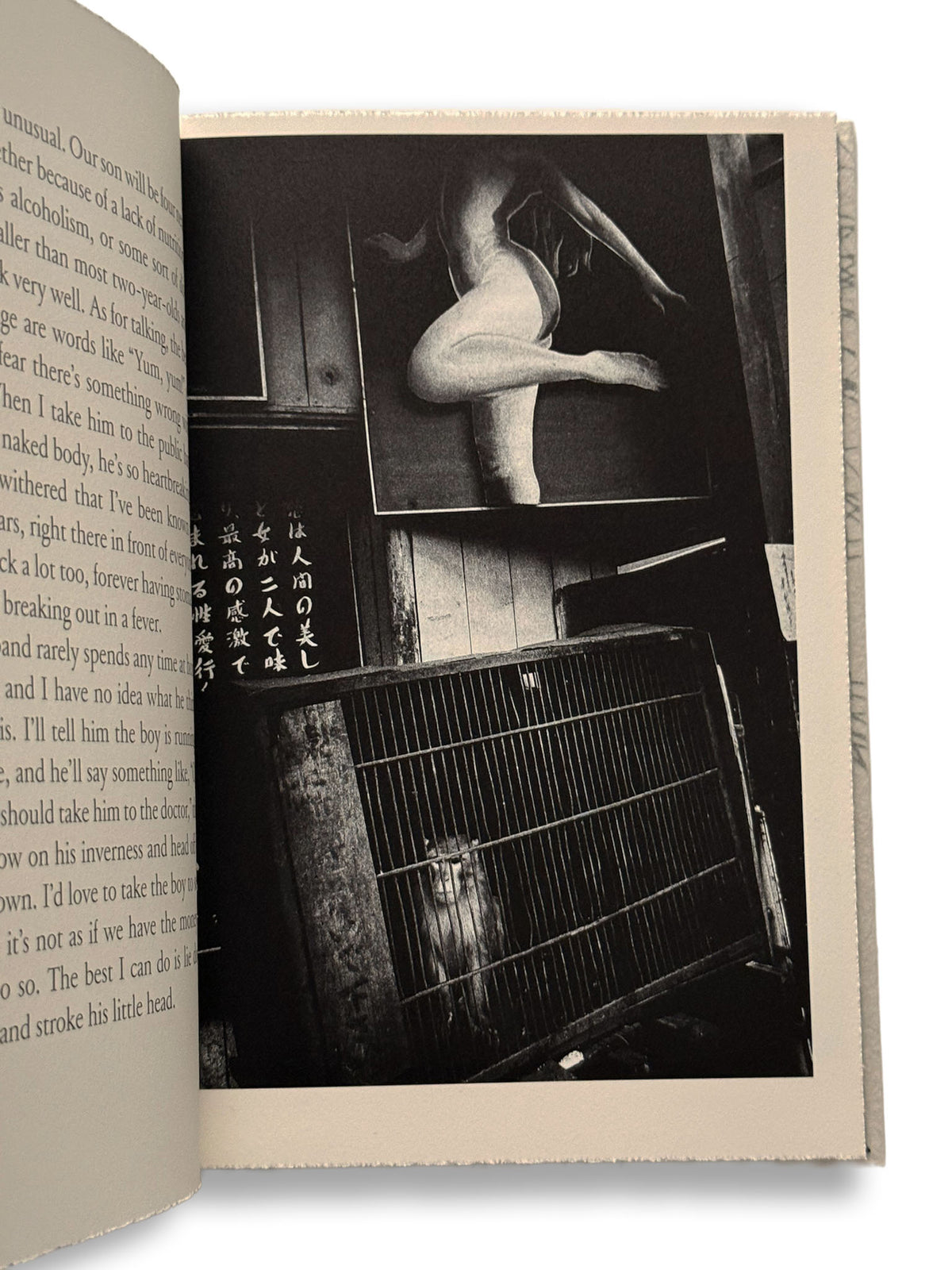 Daido Moriyama/Dazai