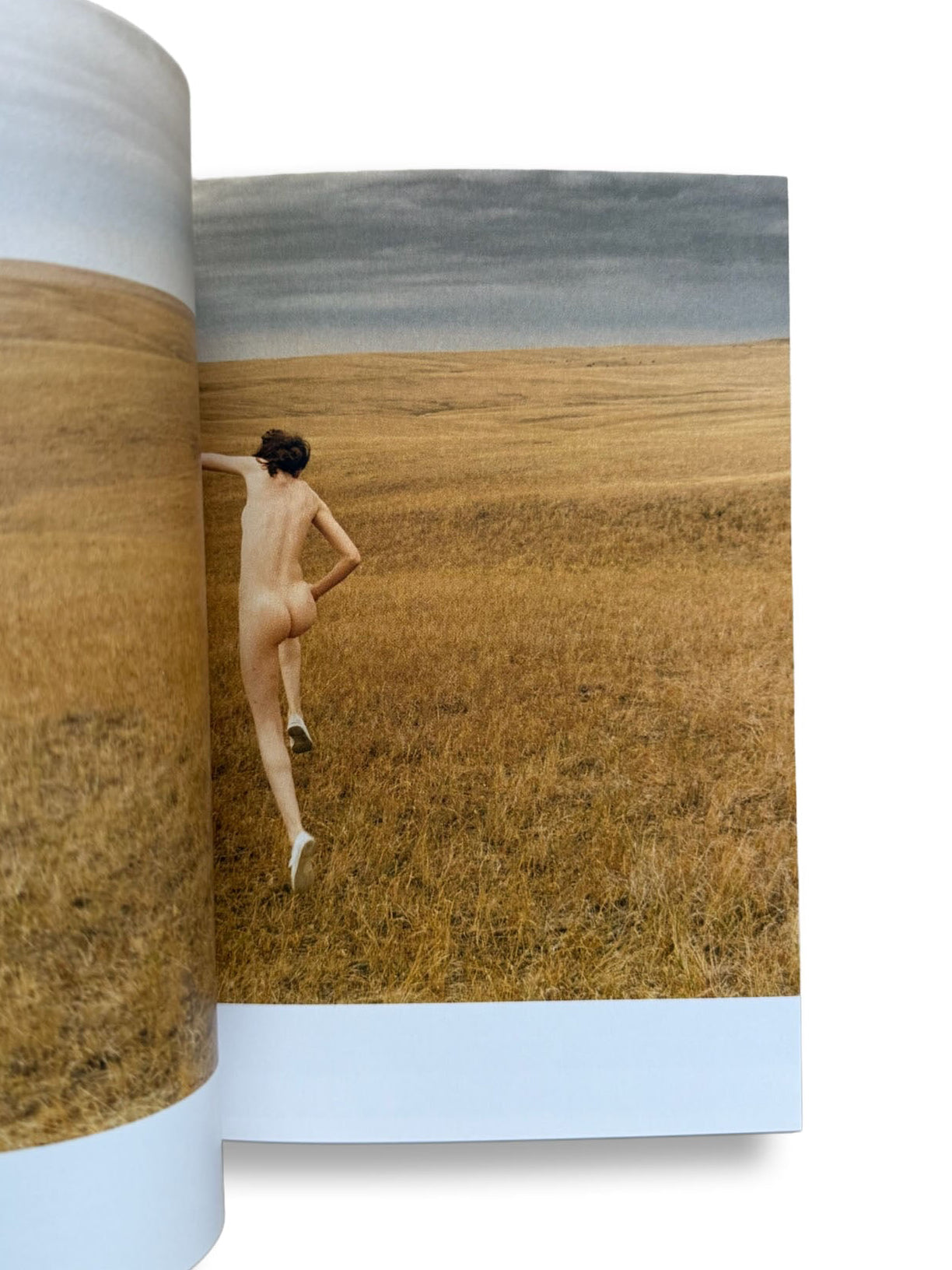 Ryan Mcginley/Daydreaming