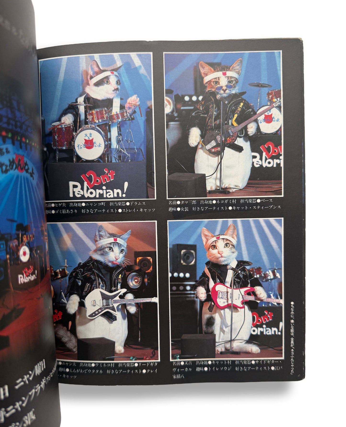NAMENNAYO CATS Matayoshi's Jumping Album