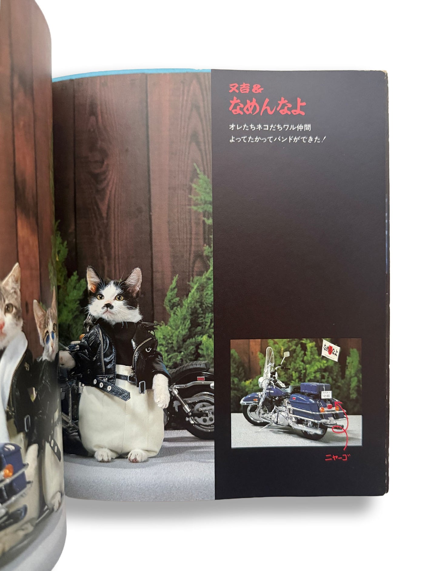 NAMENNAYO CATS Matayoshi's Jumping Album