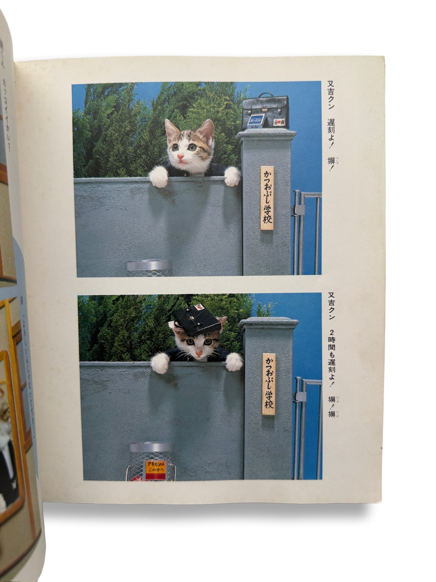 NAMENNAYO CATS Matayoshi's Jumping Album