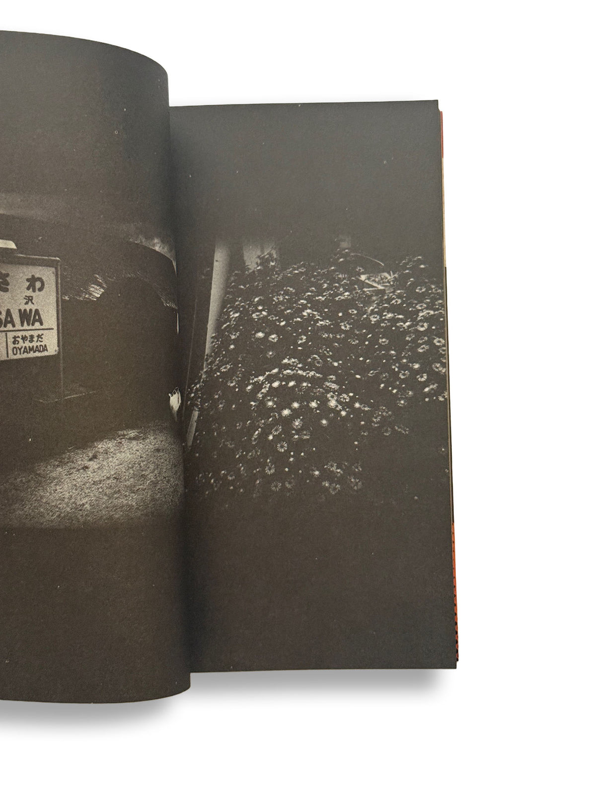 Daido Moriyama/遠野物語