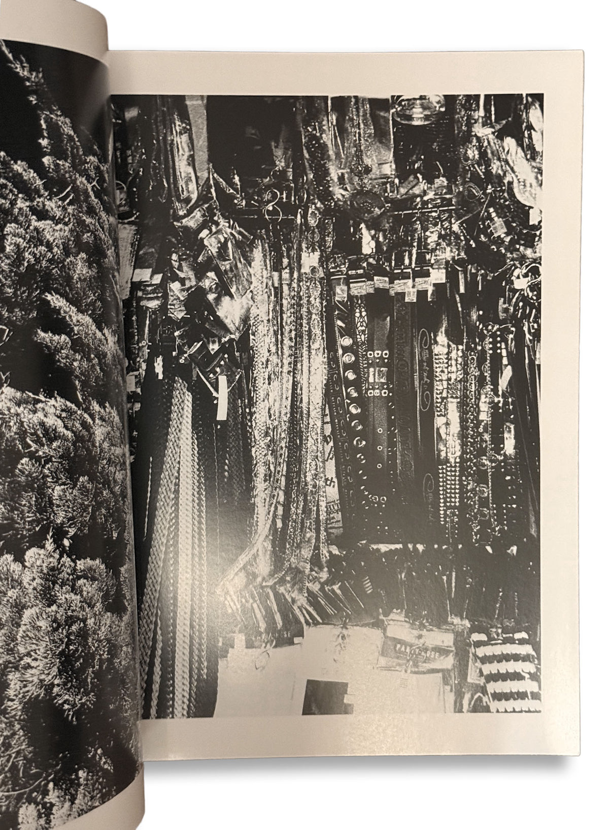 Daido Moriyama/Fragments