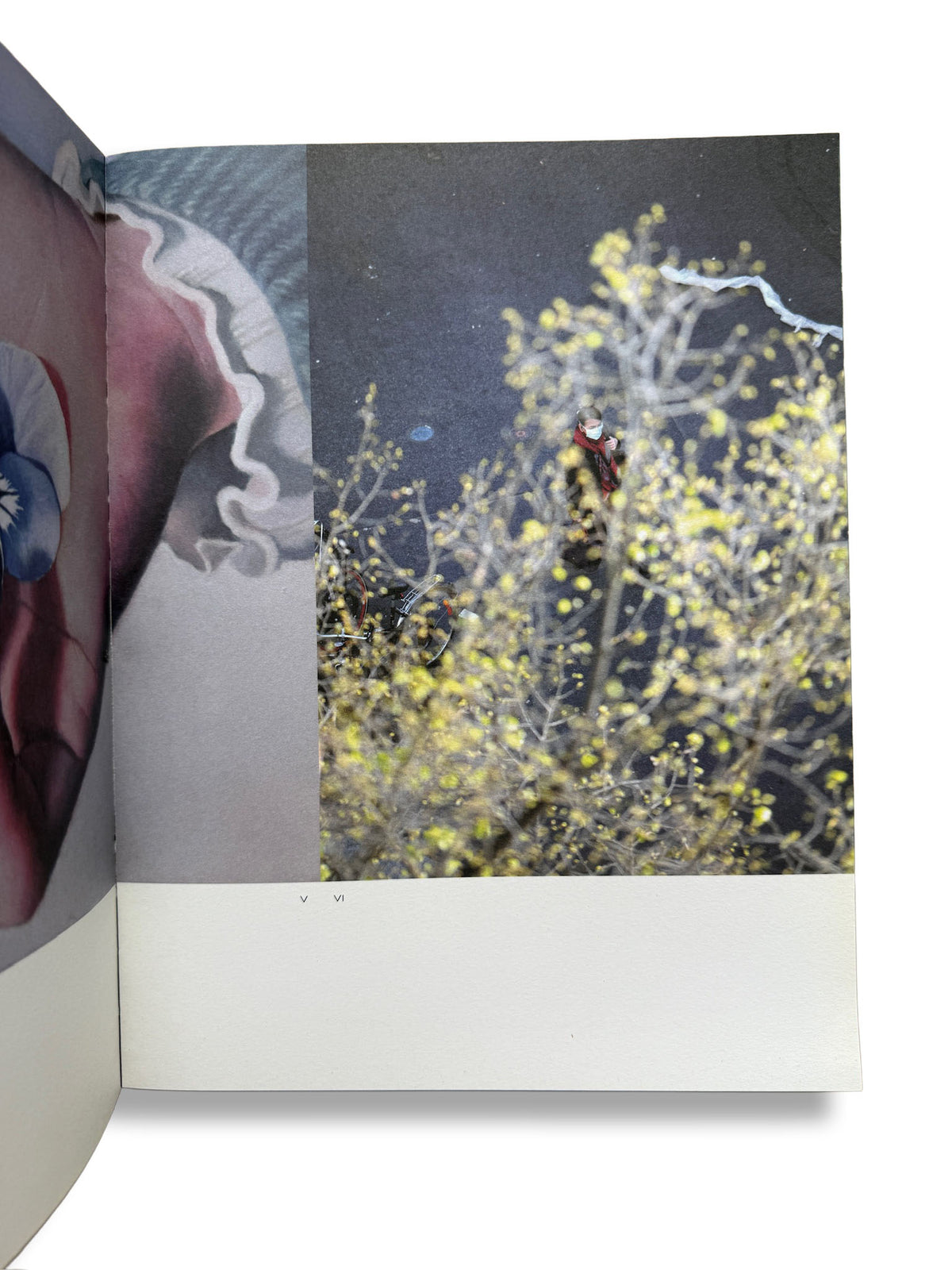 A MAGAZINE #21 CURATED BY LUCIE AND LUKE MEIER + Jil Sander logo cloth bag