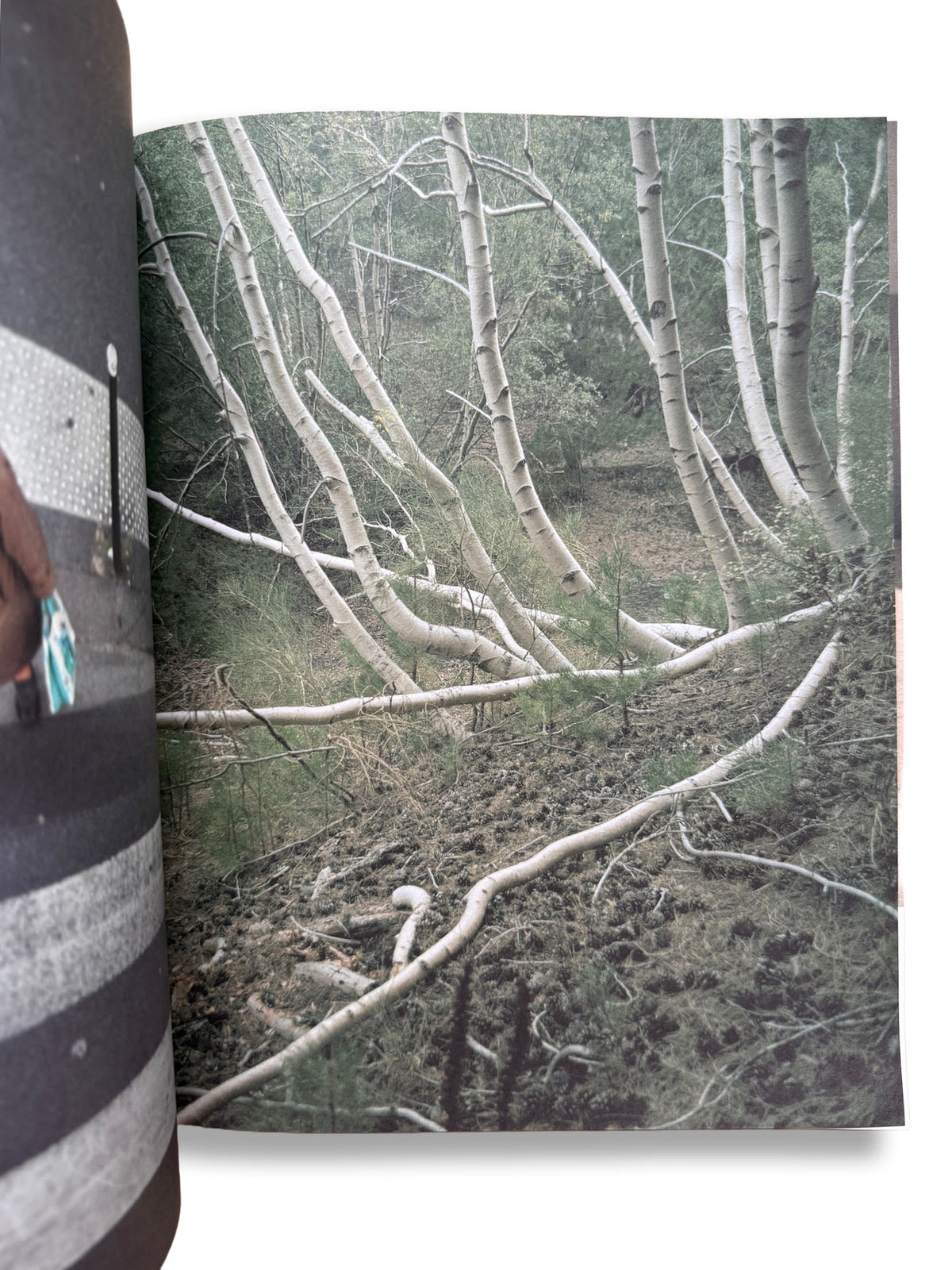 A MAGAZINE #21 CURATED BY LUCIE AND LUKE MEIER + Jil Sander logo cloth bag