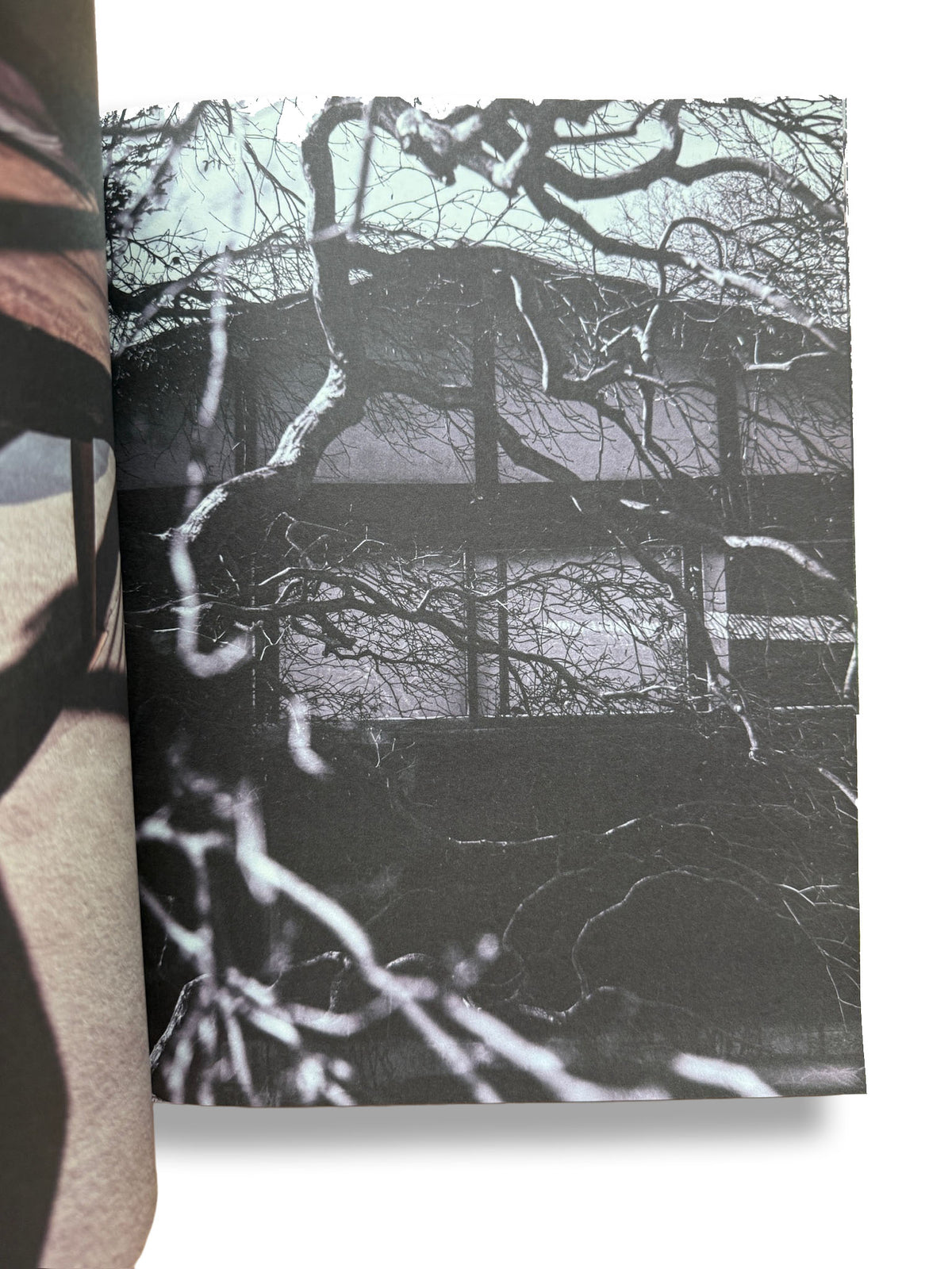 A MAGAZINE #21 CURATED BY LUCIE AND LUKE MEIER + Jil Sander logo cloth bag