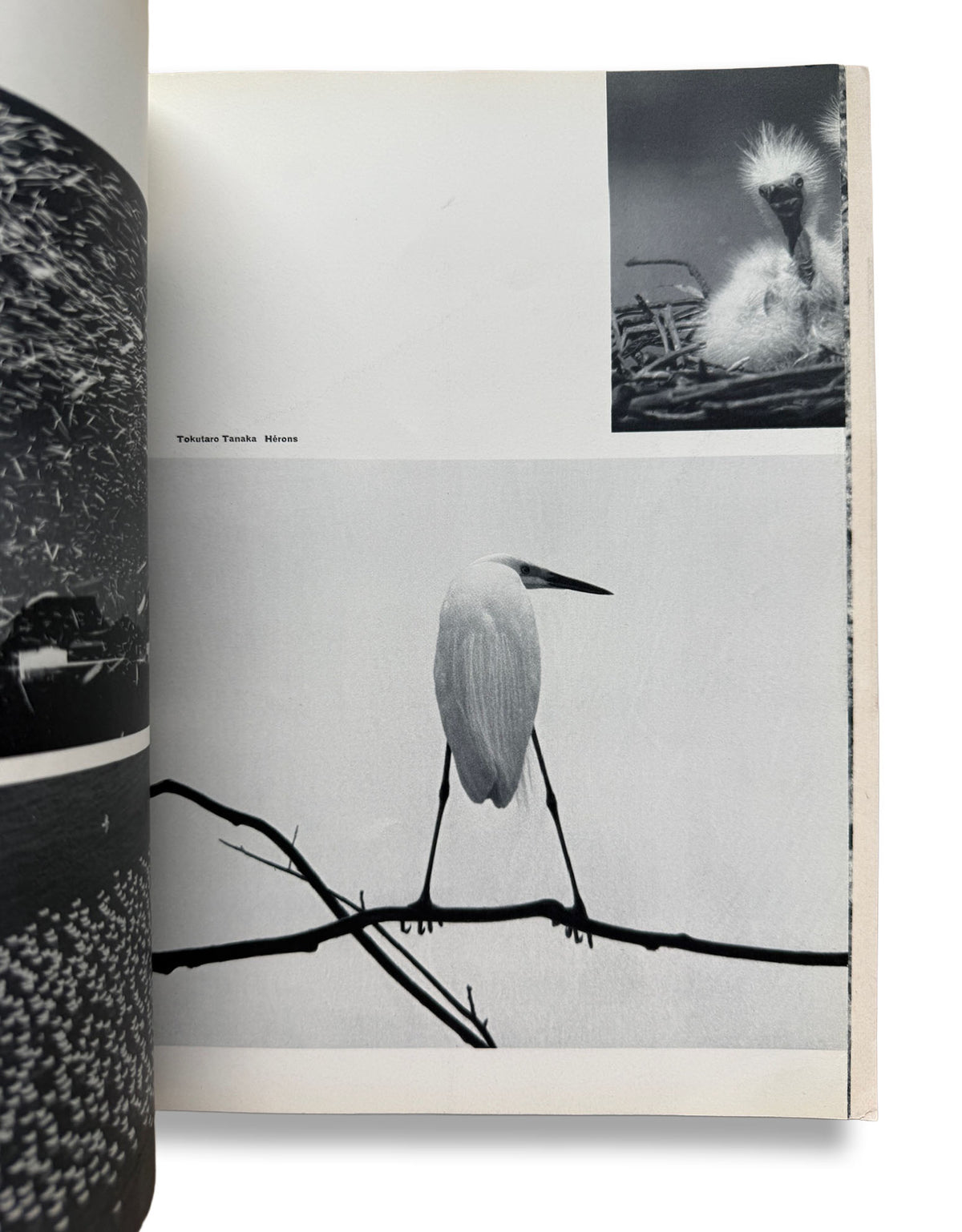 camera La photographie au Japon 日本特集号 1958