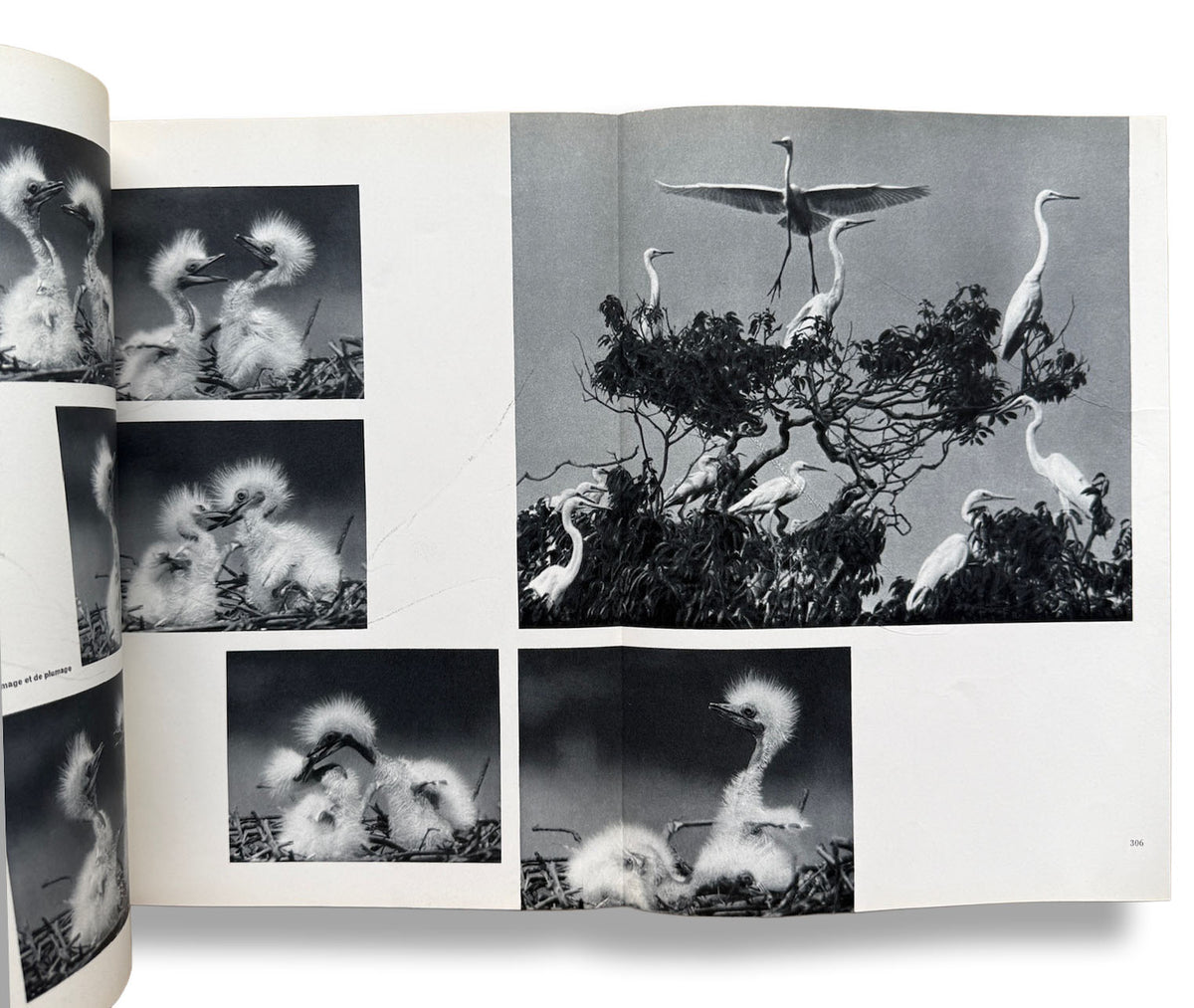 camera La photographie au Japon 日本特集号 1958