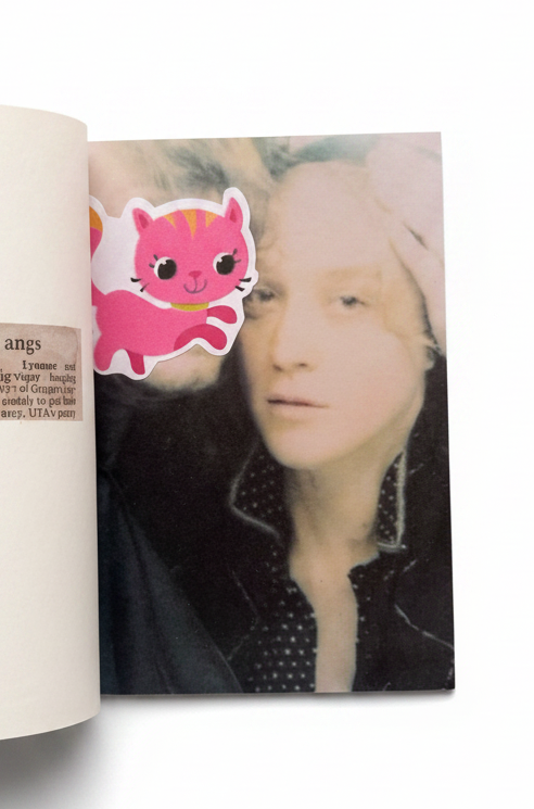 Pink Cat Sticker Spread